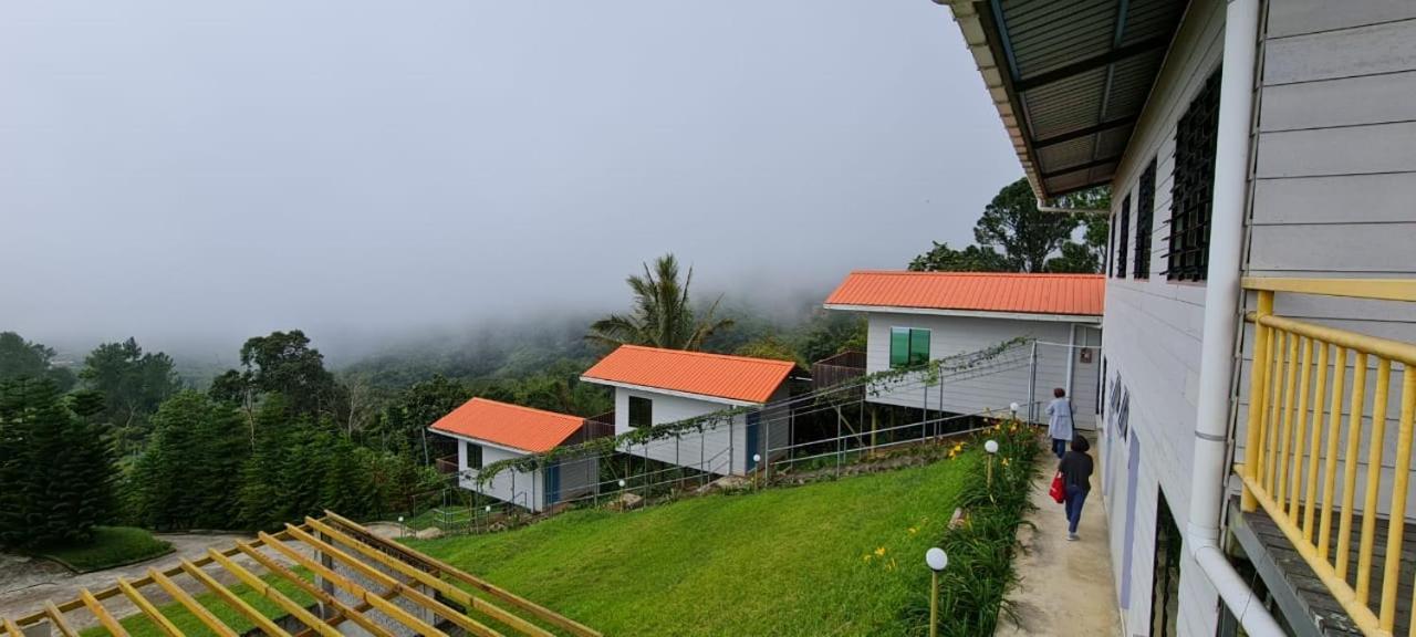 The Cloud Kinabalu-